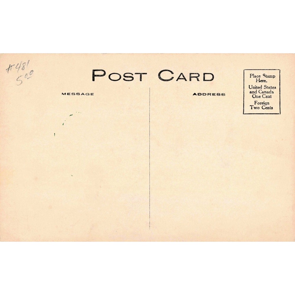 Antique 1910 Rochester Photo Press Crying Baby Humor Postcard Divided Back - Picture 2 of 2